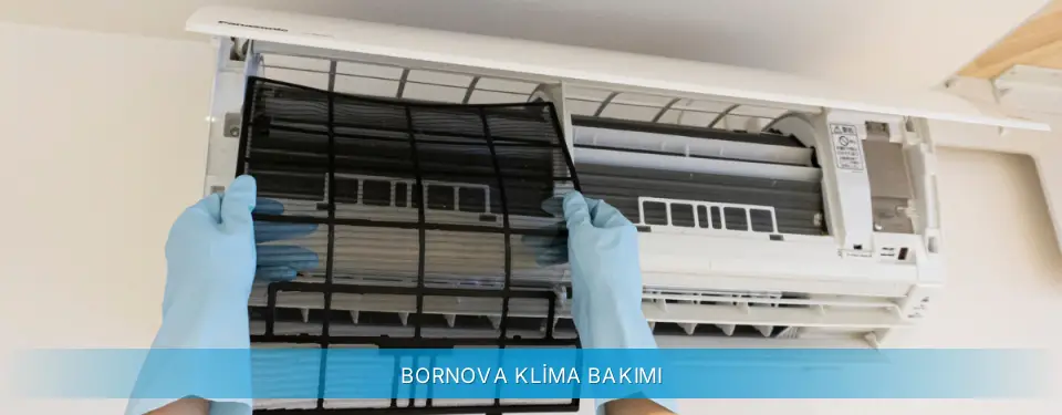 Bornova İlçemi Gree Klima Bakımı