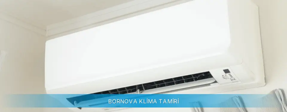 Bornova İlçemi Gree Klima Tamiri
