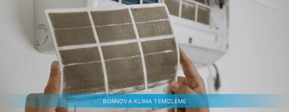 Bornova İlçemi Gree Klima Temizleme